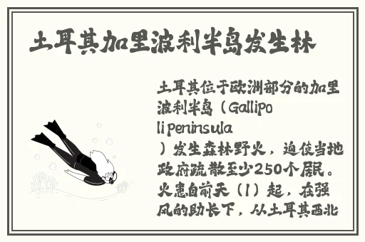 丰年经的继拇中文3的教育应用